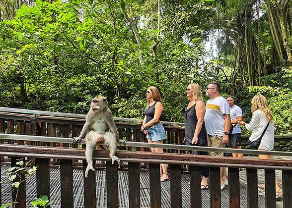 Sangeh Monkey Forest