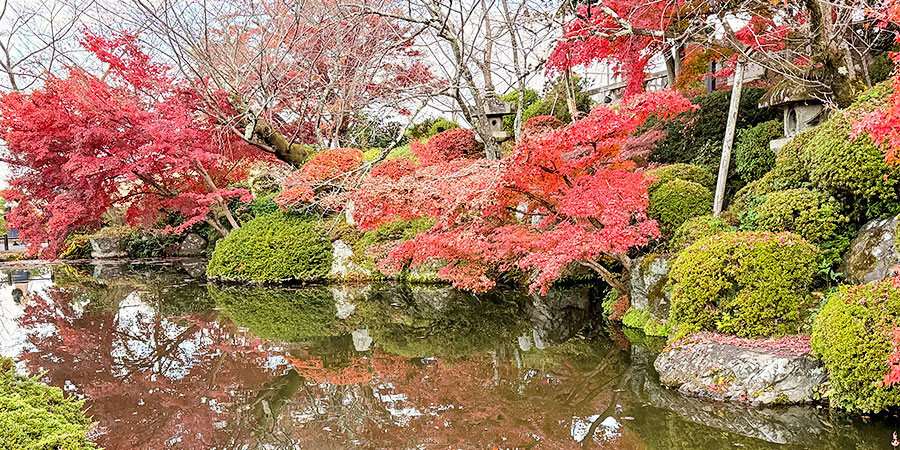 The Scenery of Dazaifu Tenmangu Shrine