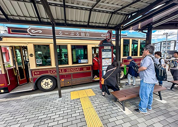 Loople Sightseeing Bus