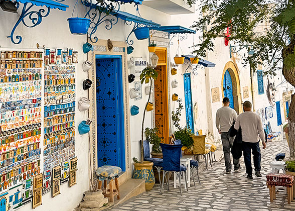 The Alley of Sidi Bou Said
