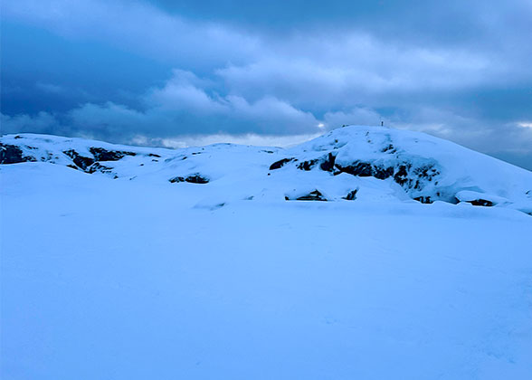White Landscape in Winter