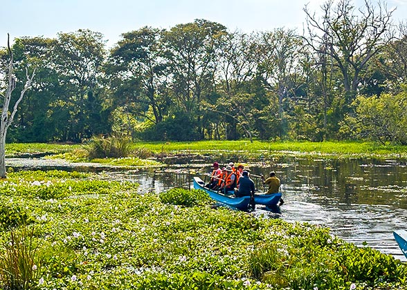 Explore Wetland in South Pantanal