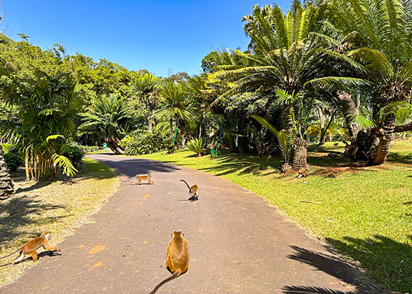 Natural Scenery in Ella