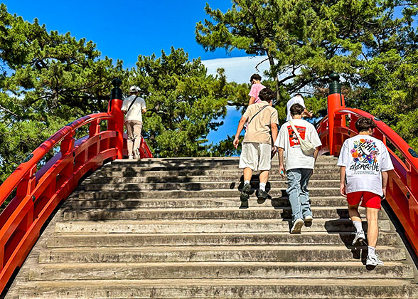 Sumiyoshi Taisha Shrine on Sunny Day