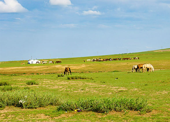 Sunny Hustai in Summer