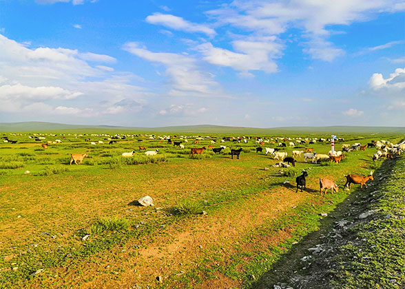 Sunny Terelj National Park