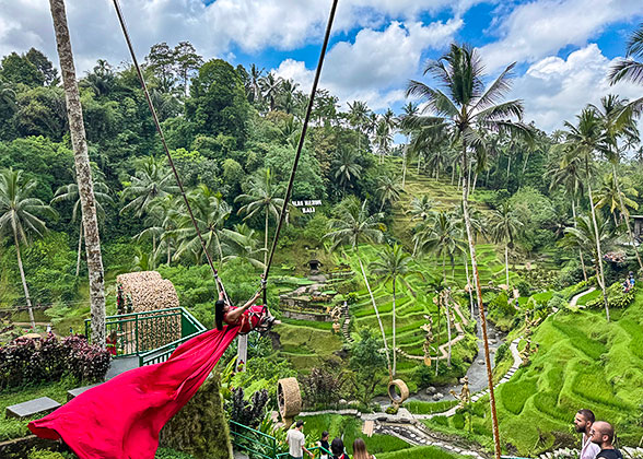 Tegalalang Rice Terraces