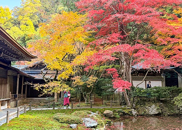 Tenryu-ji Temple Garden