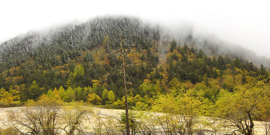 Autumn View in Terelj National Park