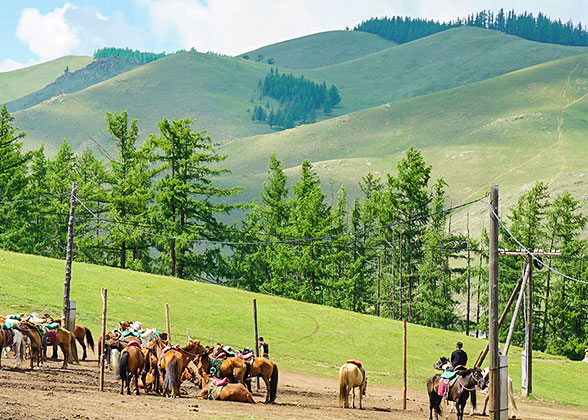 Luxuriant Terelj National Park in June