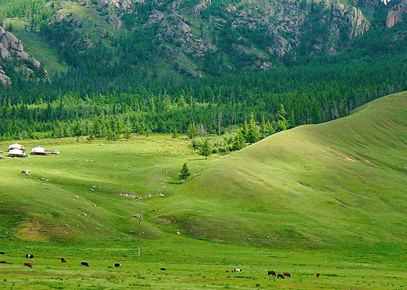 Terelj National Park in Summer