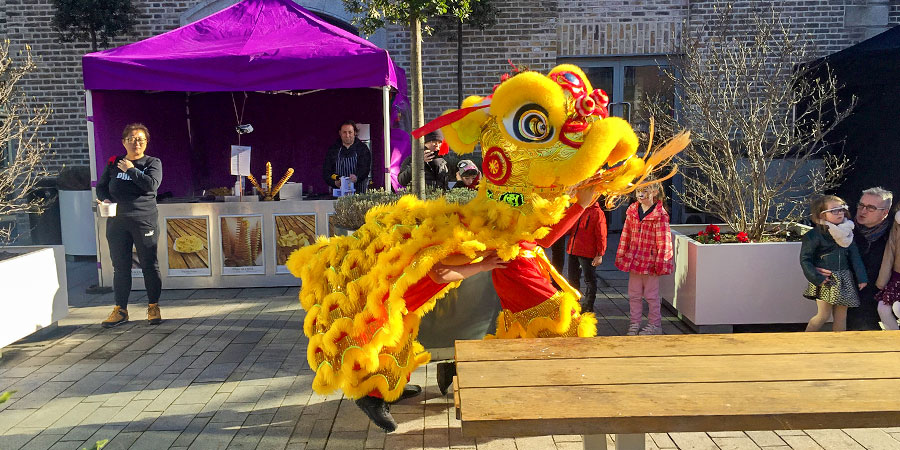 Lion Dances in Thang Long