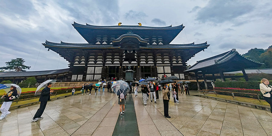 Todaiji Temple on Rainy Days