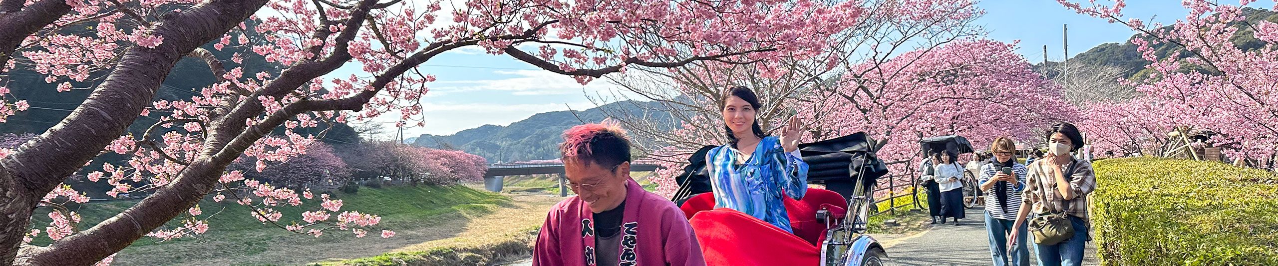 Tokyo Full of Cherry Blossoms Tokyo Full of Cherry Blossoms