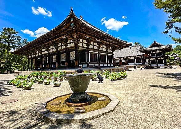 Toshodai-ji Temple Hall