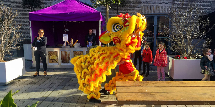 Traditional Lion Dances