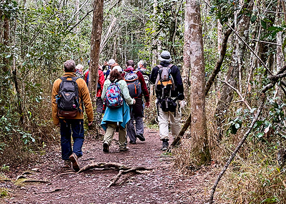 Trekking in Nam Ha National Protected Area