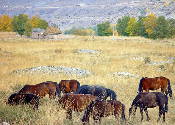 Autumn in Ulaanbaatar