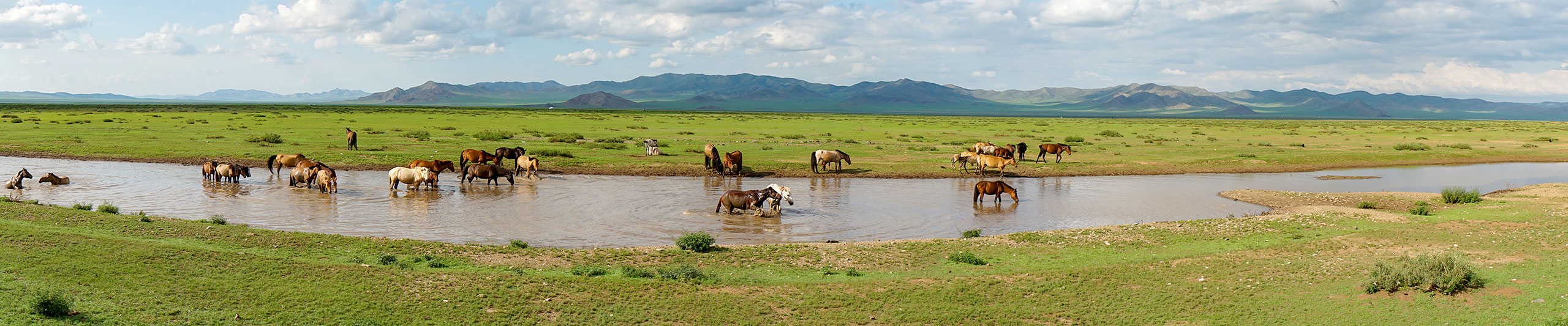 Best Time to Visit Ulaanbaatar