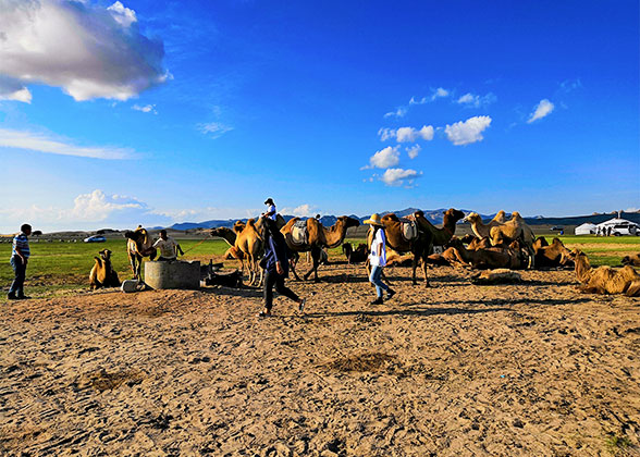 Bright Sunshine in Ulaanbaatar