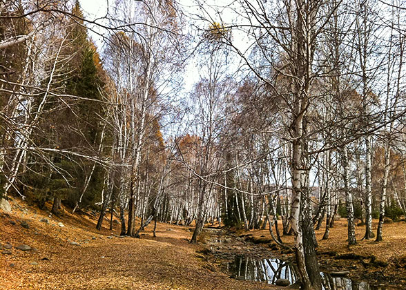 Ulaanbaatar Bare Landscape in Late October