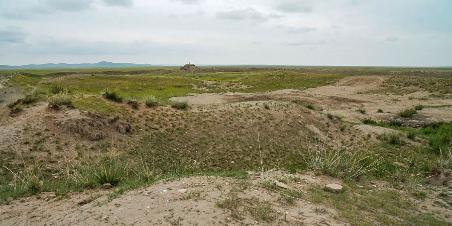 Ulaanbaatar Grassland in Late May