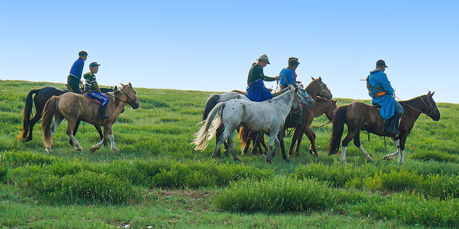 Horse Riding on Ulaanbaatar Grassland
