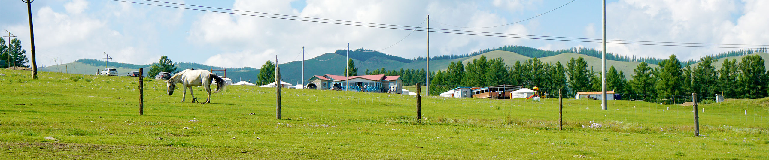 Ulaanbaatar Weather in June