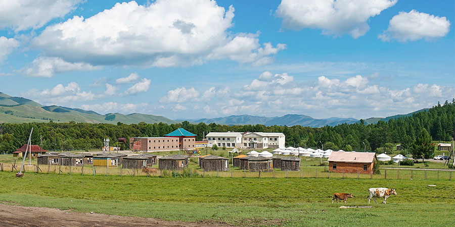 Ulaanbaatar Grassland in Summer