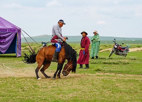 Horse Riding Performance in Ulaanbaatar