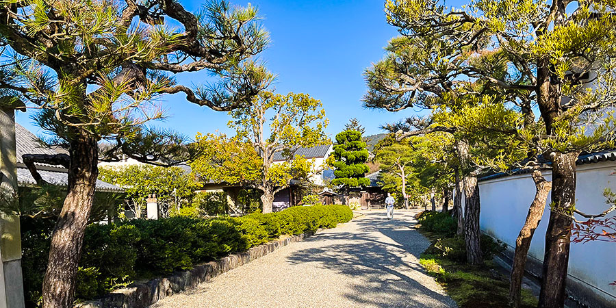 Vibrant Hiroshima in April
