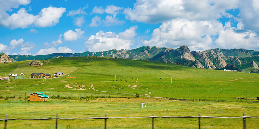 Vibrant Grassland in Terelj