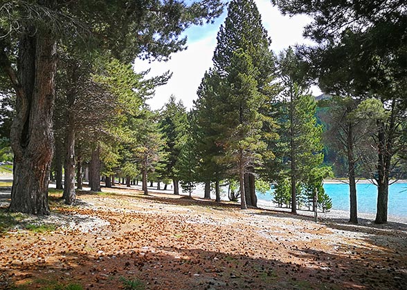 Scenic View on Victoria Island, Bariloche