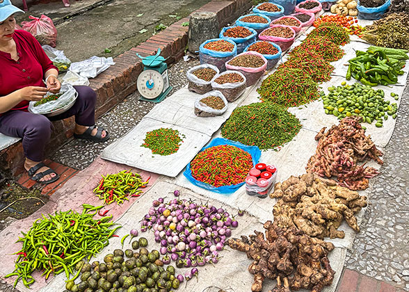 Visit the Local Market in Vientiane