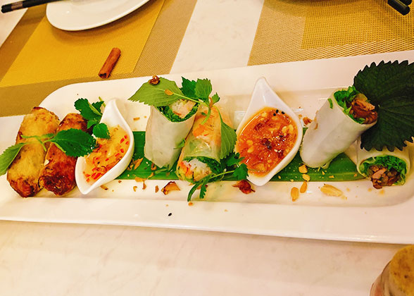 Vietnam Fried Spring Rolls