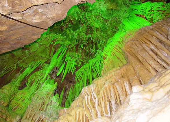 Waitomo Cave