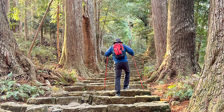 Yakushima Island