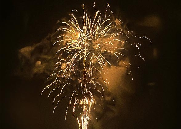 “Night Flowers” Fireworks Display