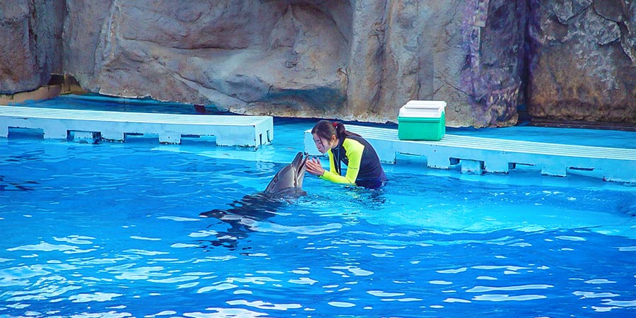 Yokohama Hakkeijima Sea Paradise