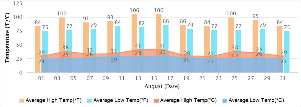 Delhi Temperatures in August