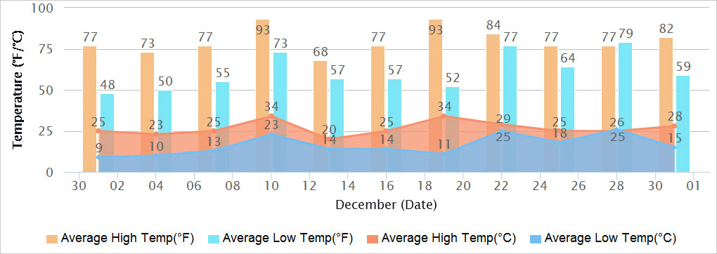 Delhi Temperatures in December