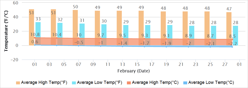 Delhi Temperature February 