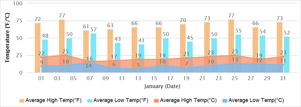 Delhi Temperatures in January
