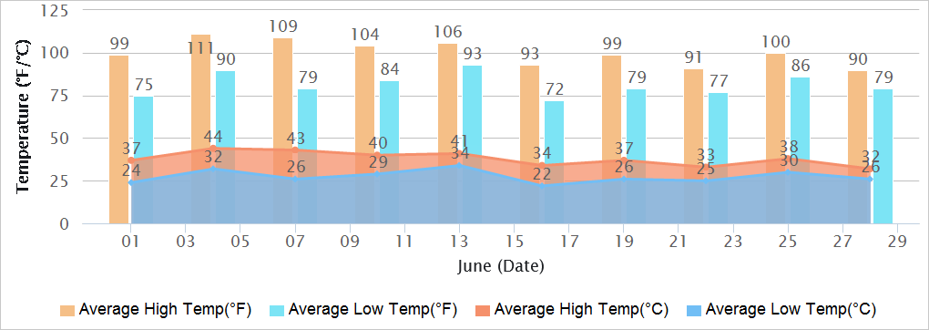 Delhi Temperatures in June