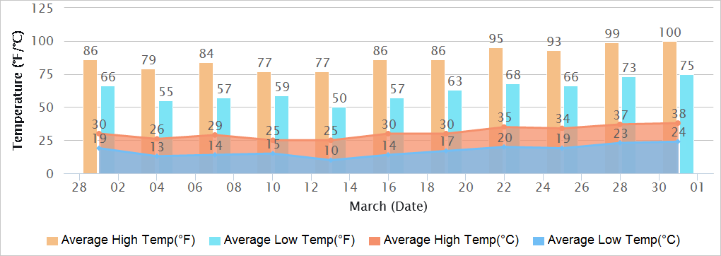 Delhi Temperatures in March