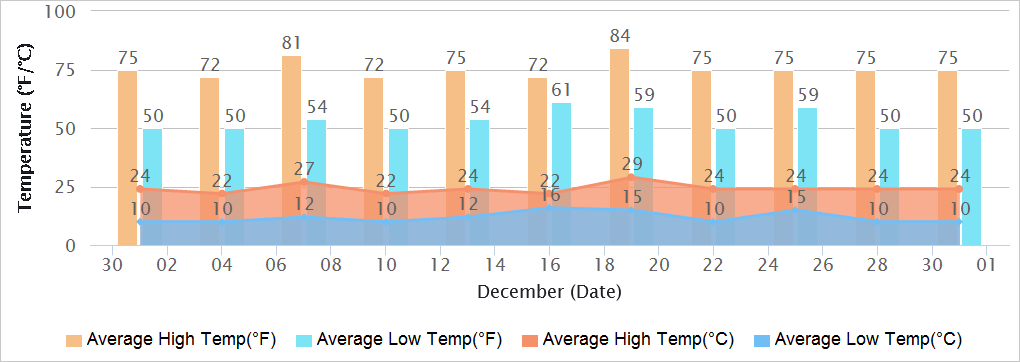 Patna Temperatures in December