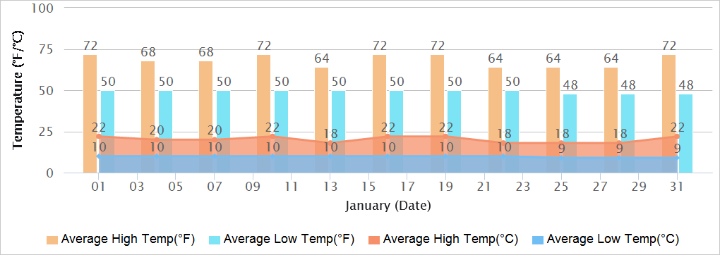 Patna Temperatures in January