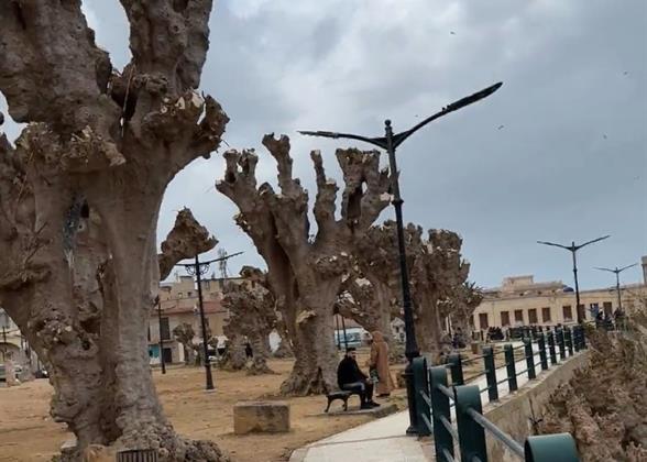 Cherchell Street View