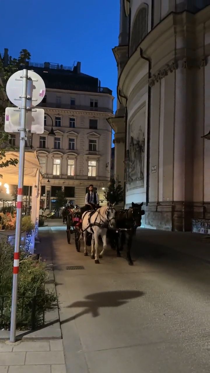 Night Tour around St. Stephen's Cathedral
