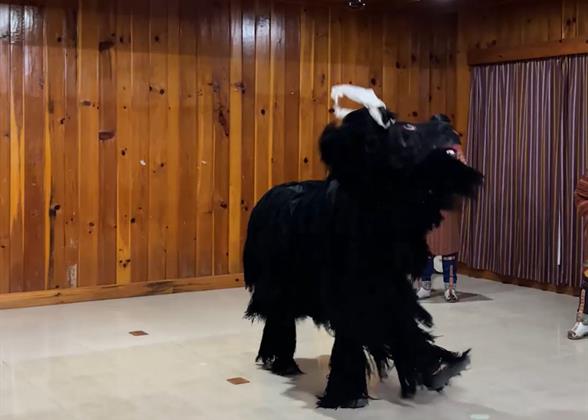 Cham Dance, Paro